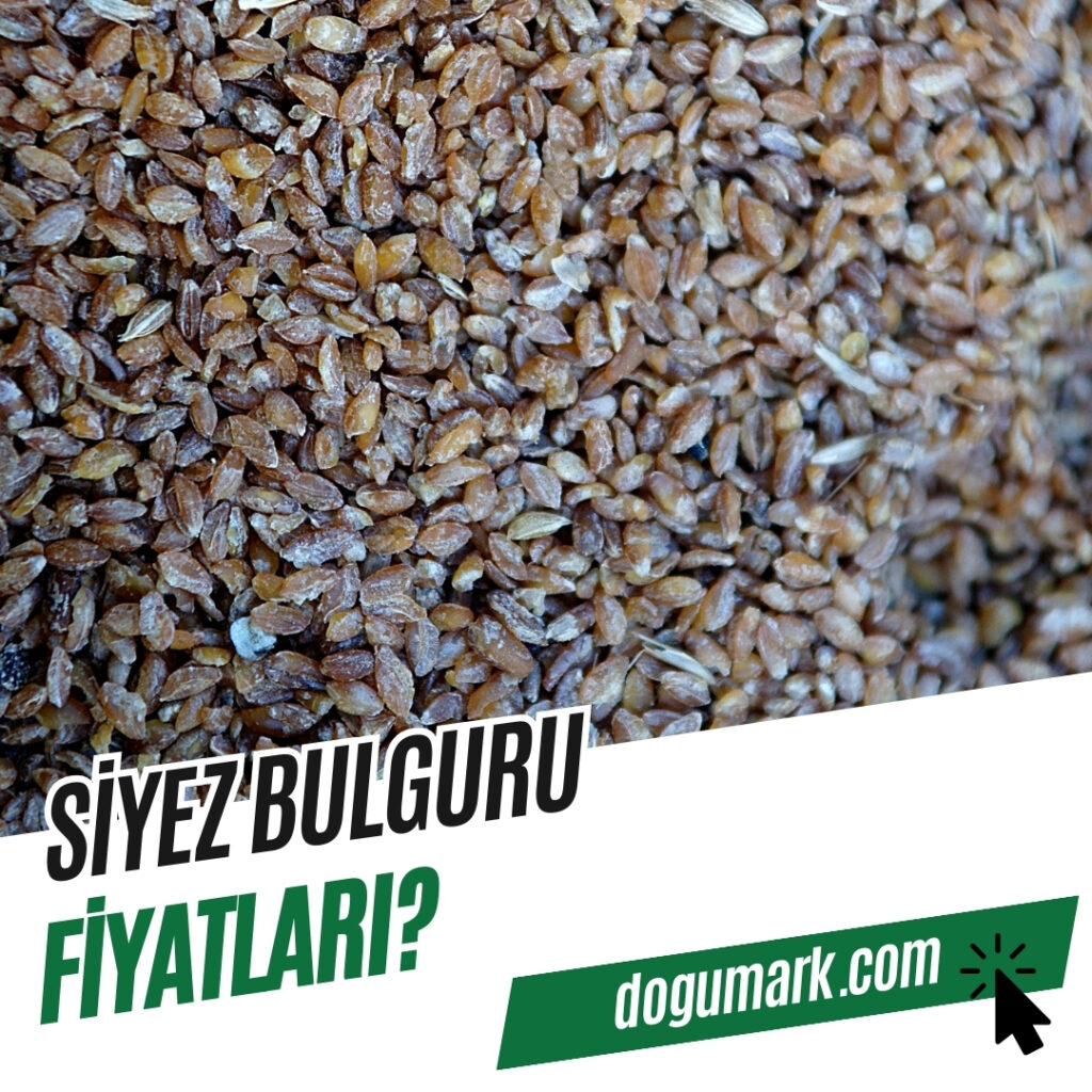 Siyez Bulguru Fiyatları