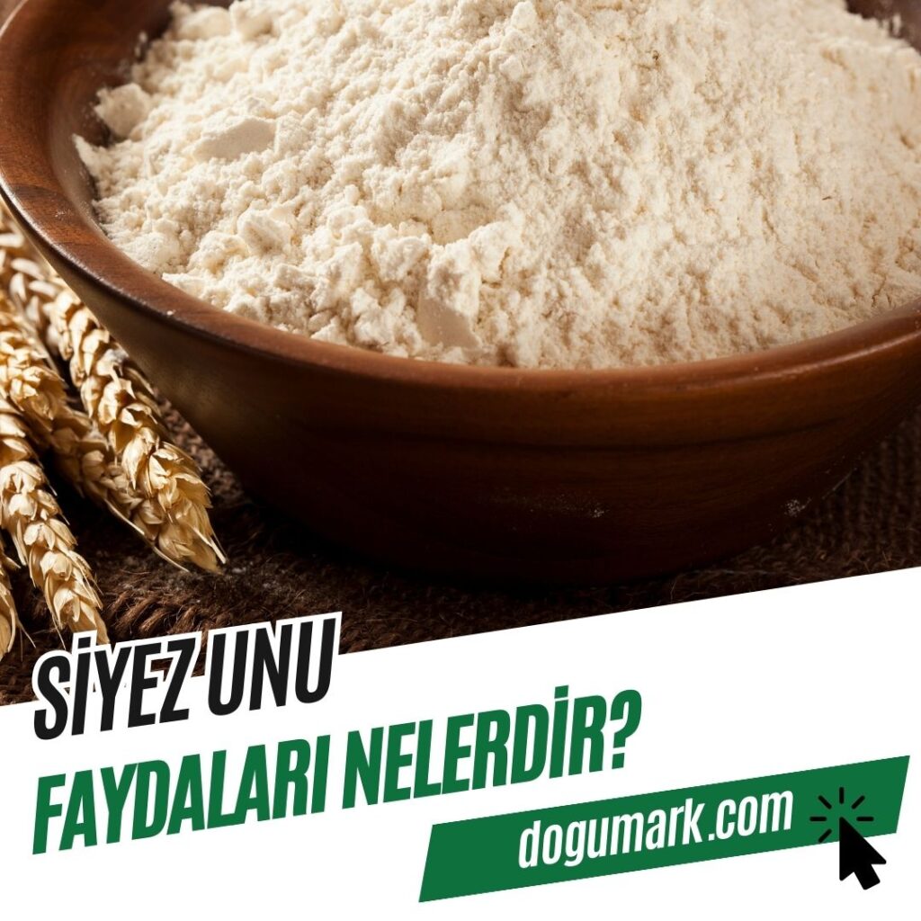 Siyez Unu Faydaları Nelerdir