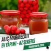 Alıç Marmelatı - Ev Yapımı - Az Şekerli (660cc-Net500g℮)