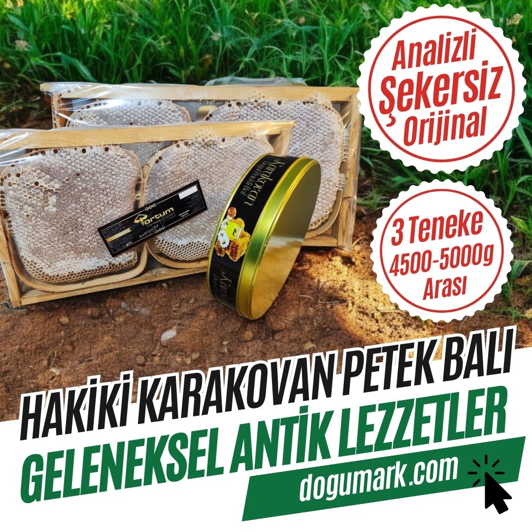 Analizli Şekersiz Hakiki Karakovan Petek Balı (4500-5000g Arası)