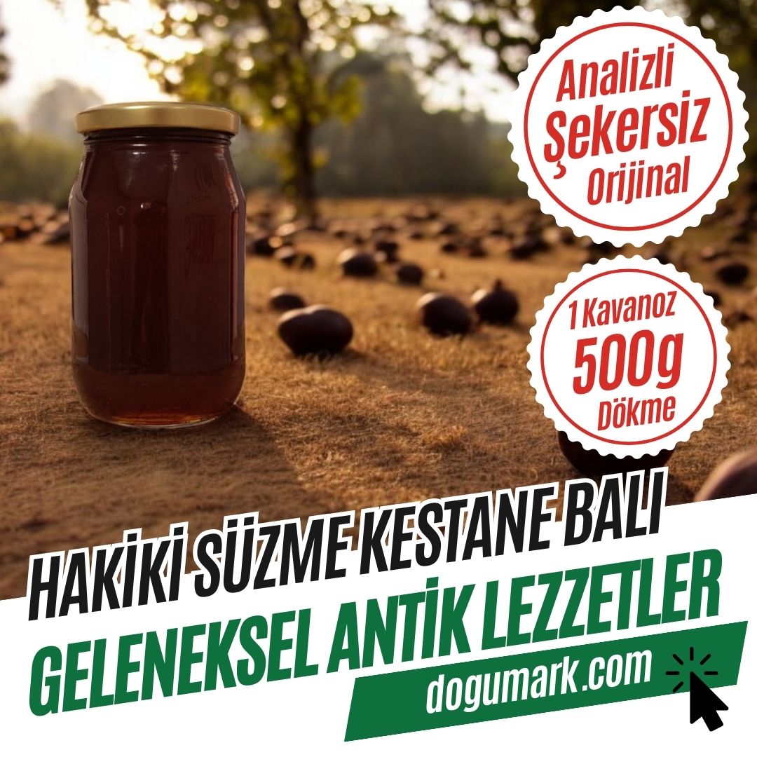 Analizli Şekersiz Hakiki Süzme Kestane Balı - (Net-500g) - Dökme