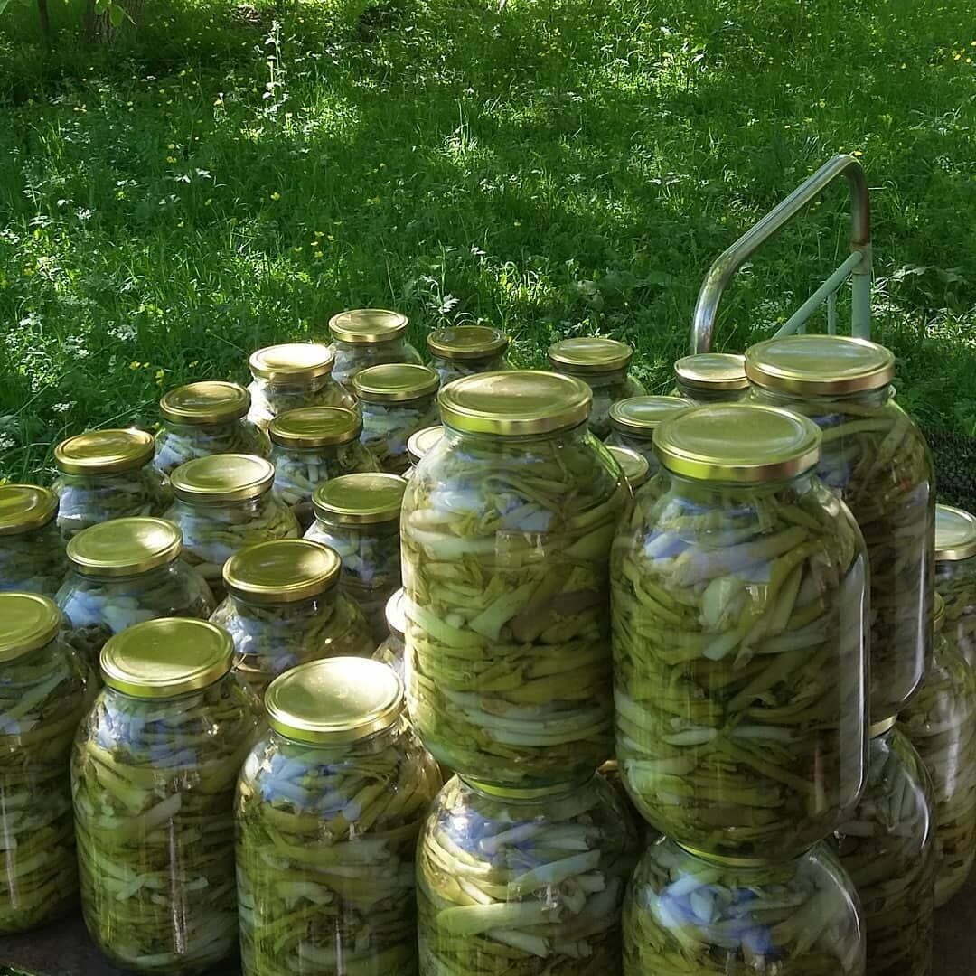 Çakşır Salamura - (2 Kg)