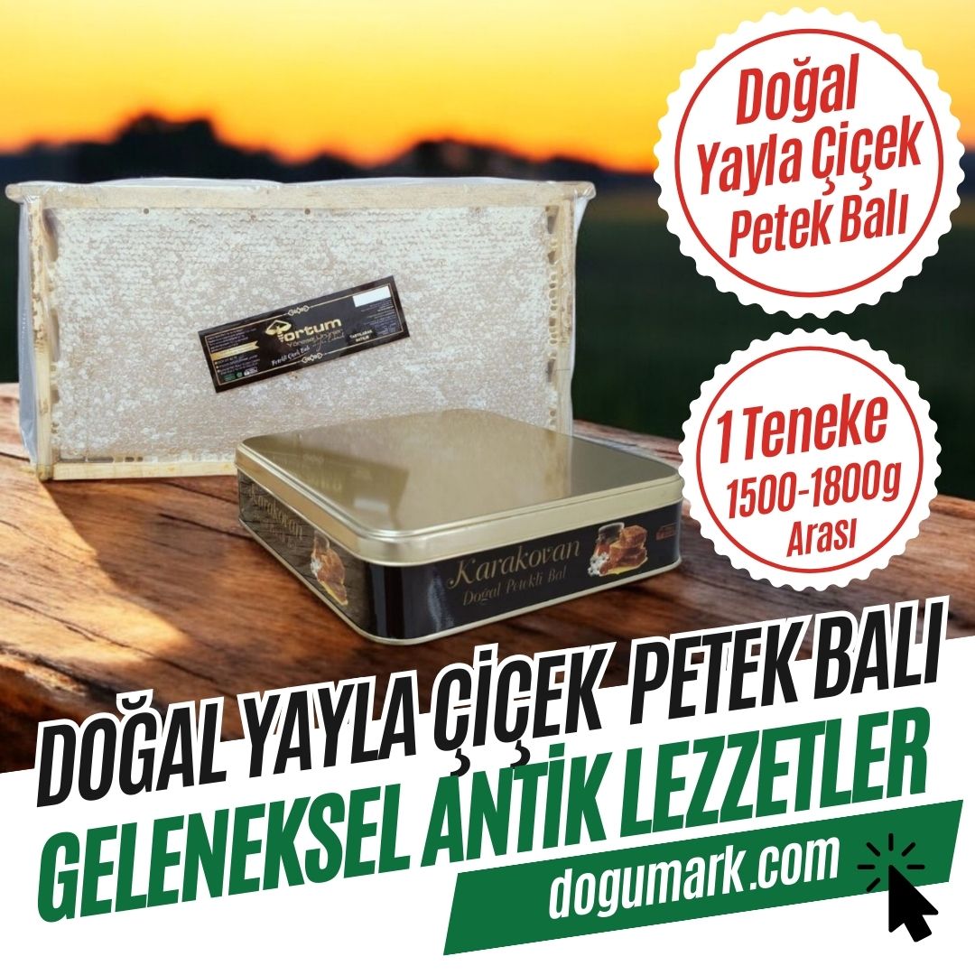 Doğal Yayla Çiçek Petek Balı (1 Teneke 1500-1800g Arası)
