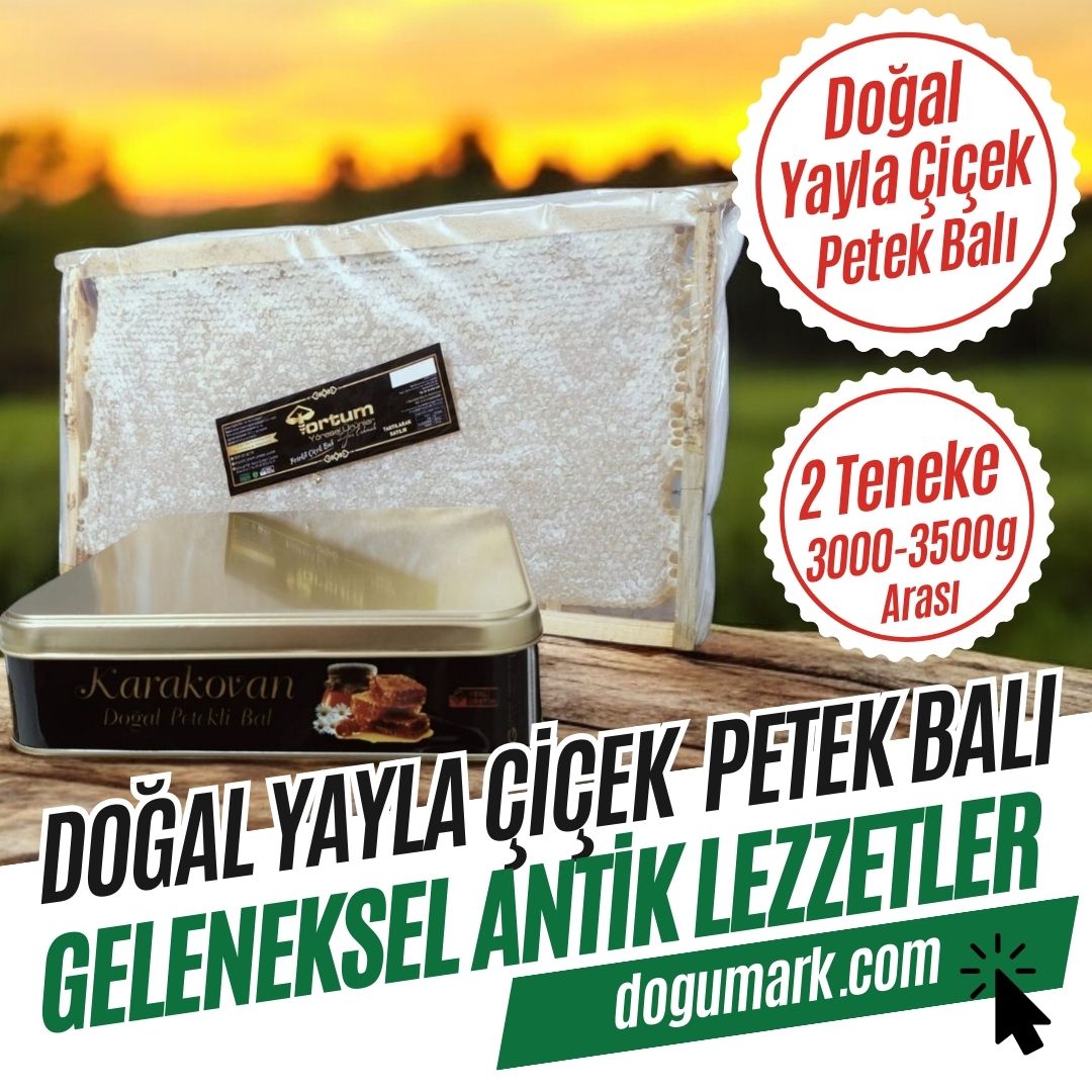 Doğal Yayla Çiçek Petek Balı (2 Teneke 3000-3500g Arası)