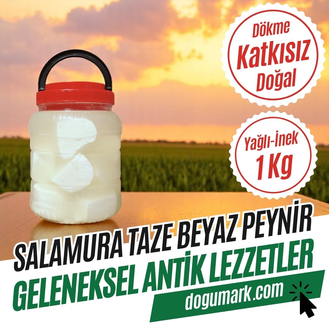 Dökme Köy Tipi Salamura Taze Beyaz Peynir - Yağlı - İnek (1 Kg)