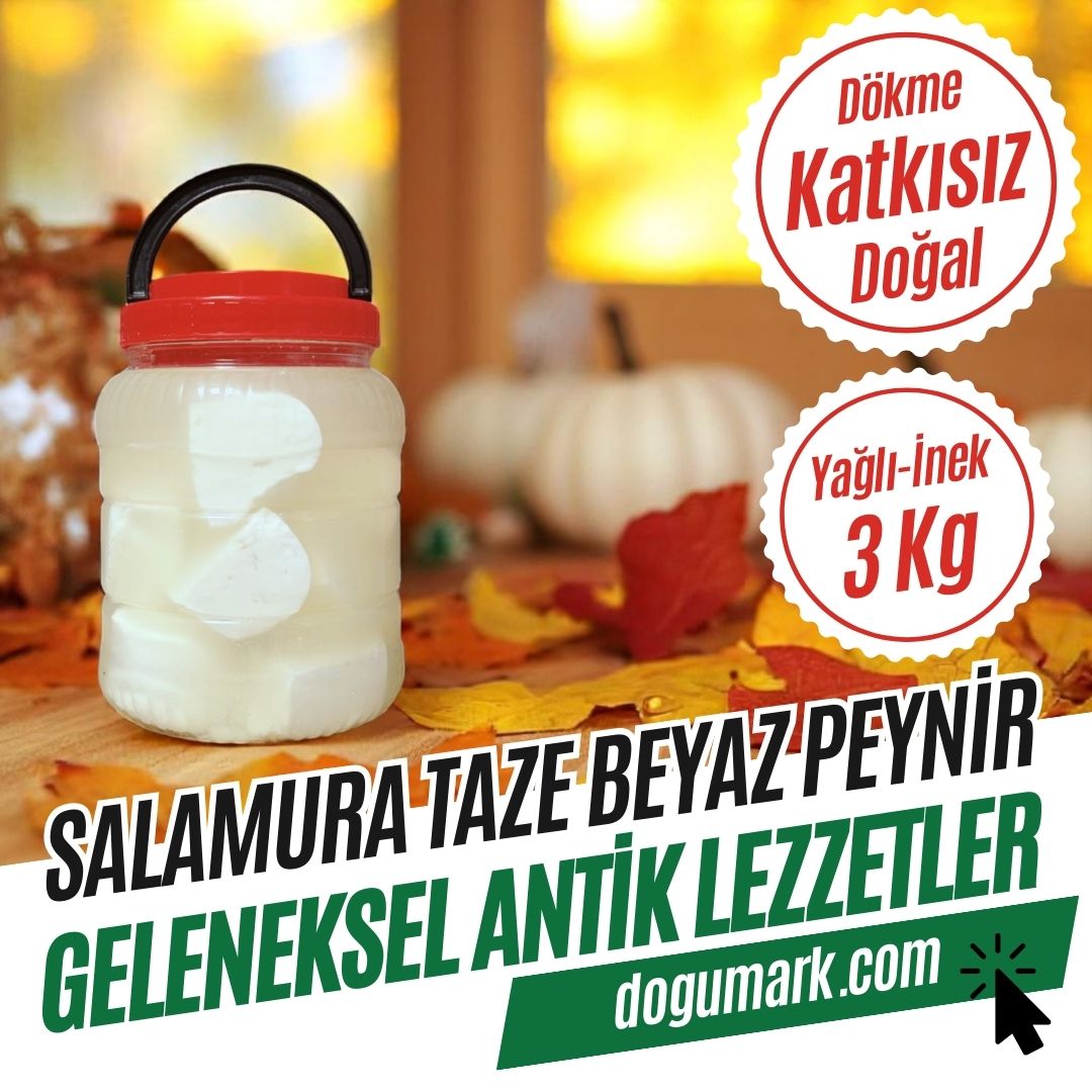 Dökme Köy Tipi Salamura Taze Beyaz Peynir - Yağlı - İnek (3 Kg)