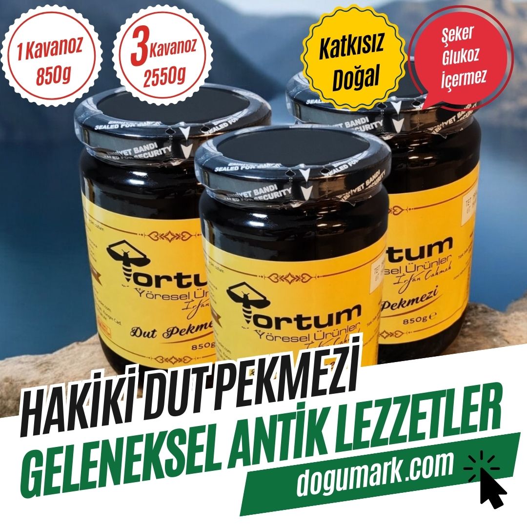 Hakiki Dut Pekmezi (2550g) - Katkısız Doğal Şekersiz Glukozsuz