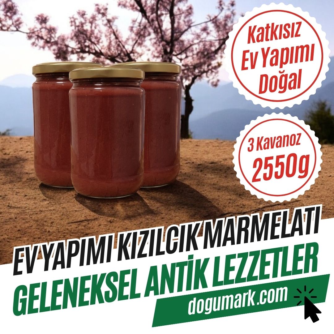 Katkısız Doğal Ev Yapımı Kızılcık Marmelatı (3 Kavanoz 2550g)