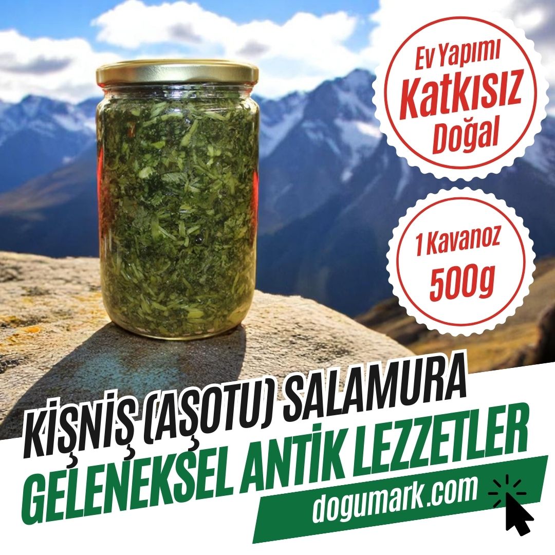 Katkısız Ev Yapımı Kişniş (Aşotu) Salamura - 1 Kavanoz (500g)