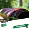 Kızılcık Pestili (1 Kg)