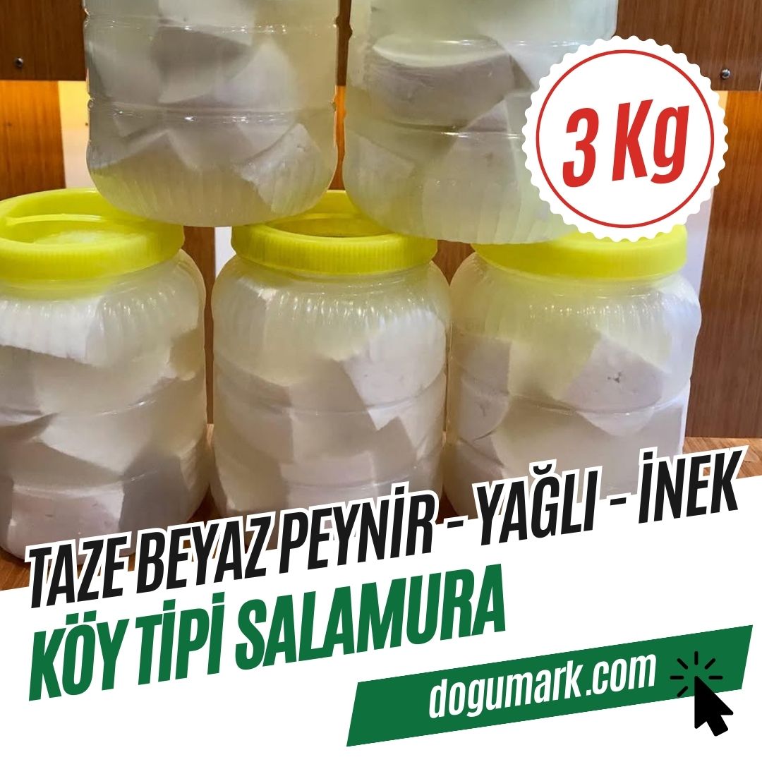 Köy Tipi Salamura Taze Beyaz Peynir - Yağlı - İnek (3 Kg)