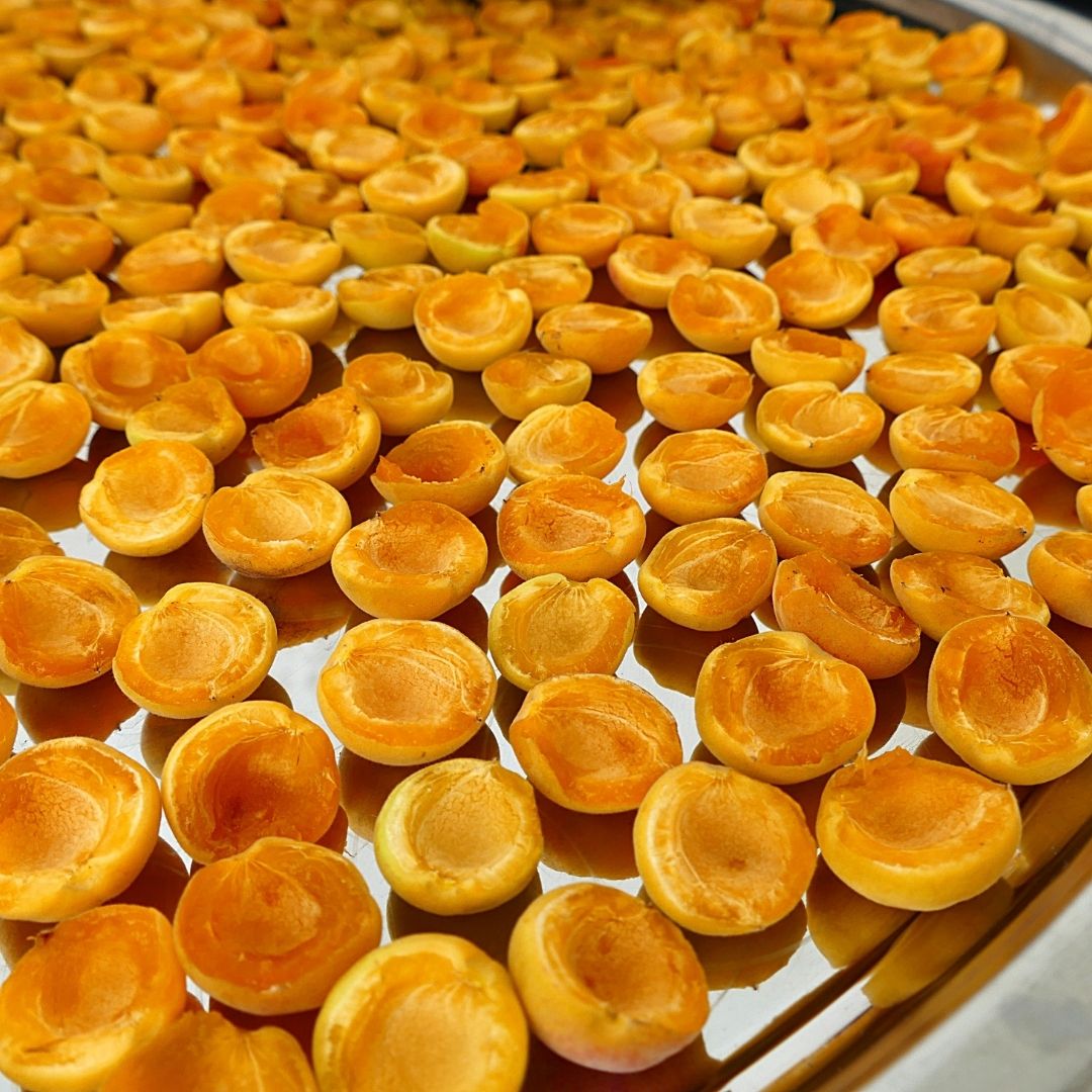 Kuru Kayısı Kabuk - 1 Kg (Hoşaflık Aşma - Tatlı)