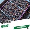 Kuşburnu Kurusu - (1 Kg)