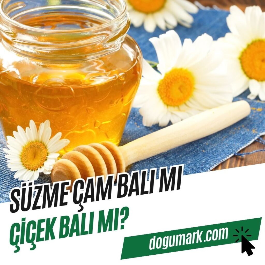 Süzme Çam Balı mı Çiçek Balı mı