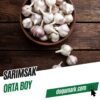 Sarımsak - Orta Boy (1 Kg)