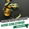 Yamalak Sarısı Erken Hasat Natürel Sızma Zeytinyağı (500ml)