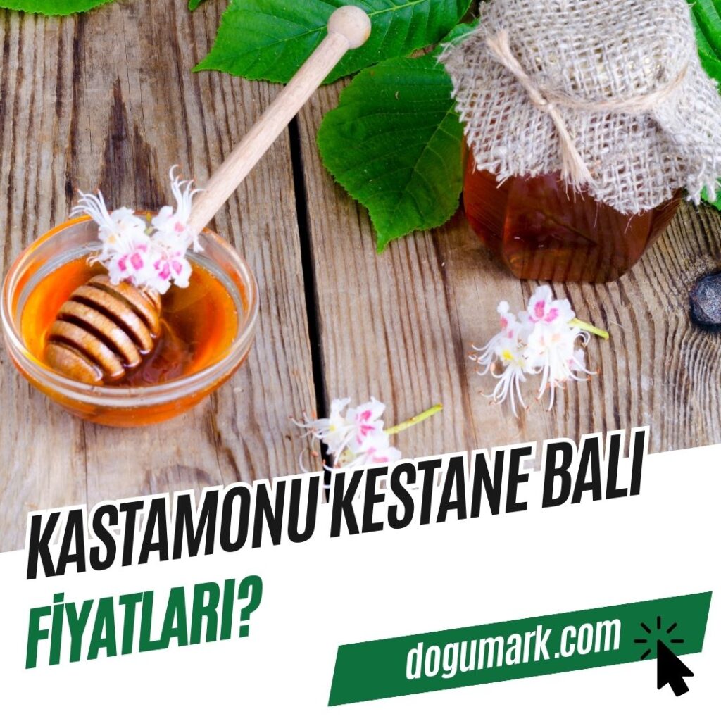 Kastamonu kestane balı fiyatı ne kadar