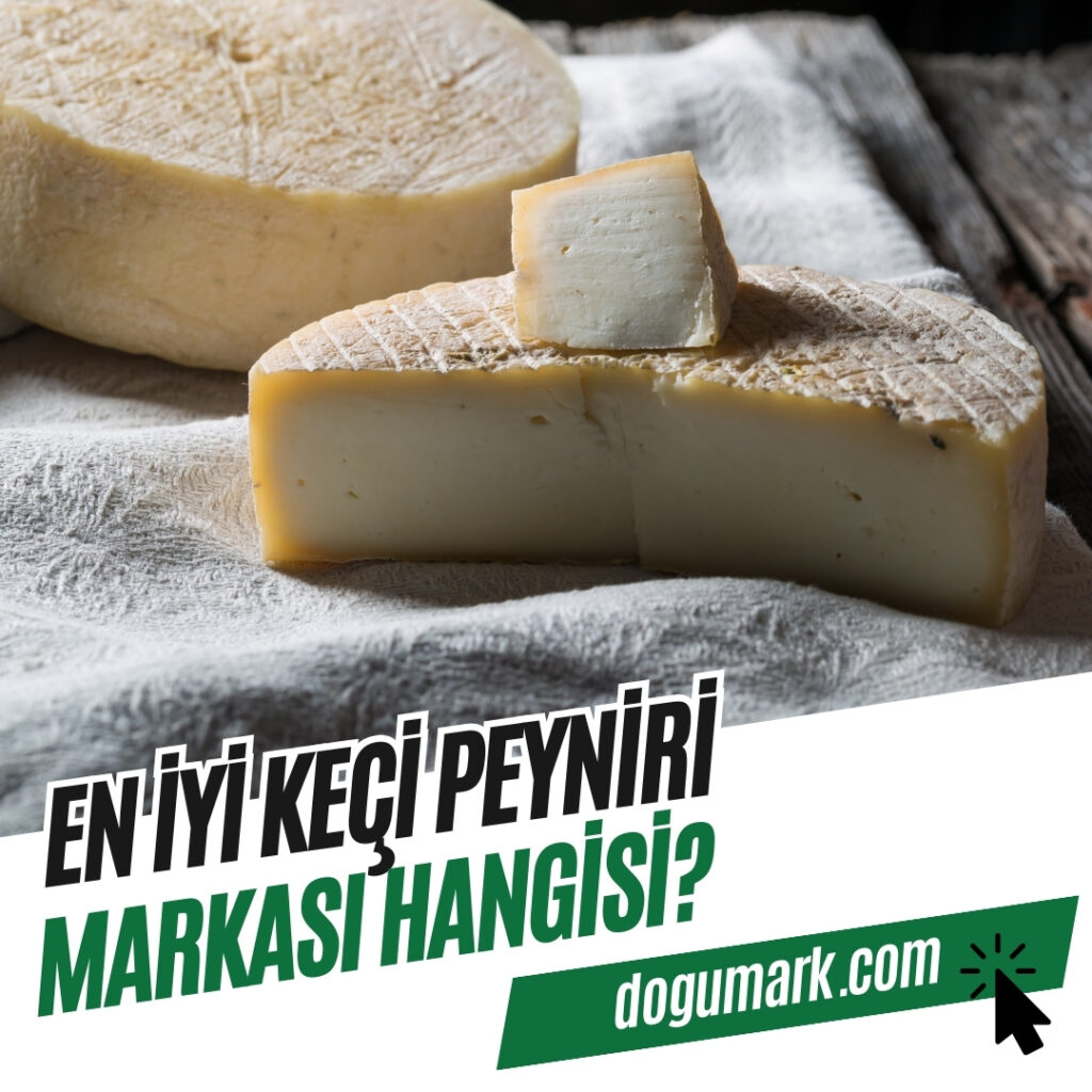 En iyi Keçi Peyniri Markası Hangisi