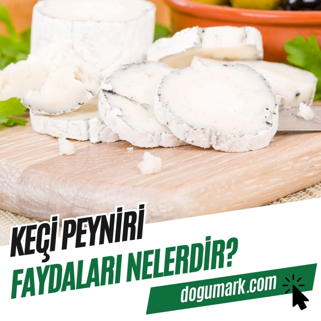 Keçi Peyniri Faydaları Nelerdir