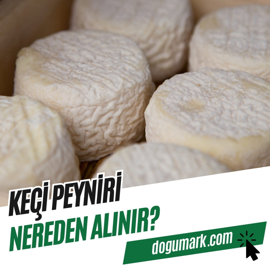 Keçi Peyniri Nereden Alınır
