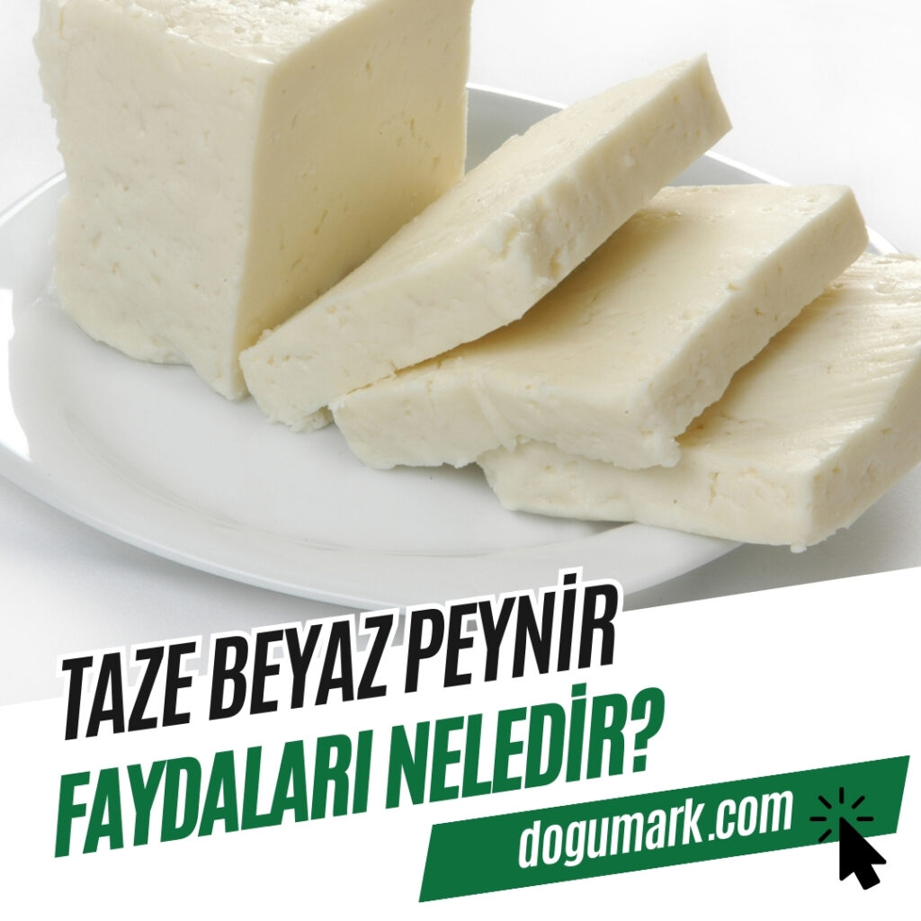 Taze Beyaz Peynir Faydaları Nelerdir