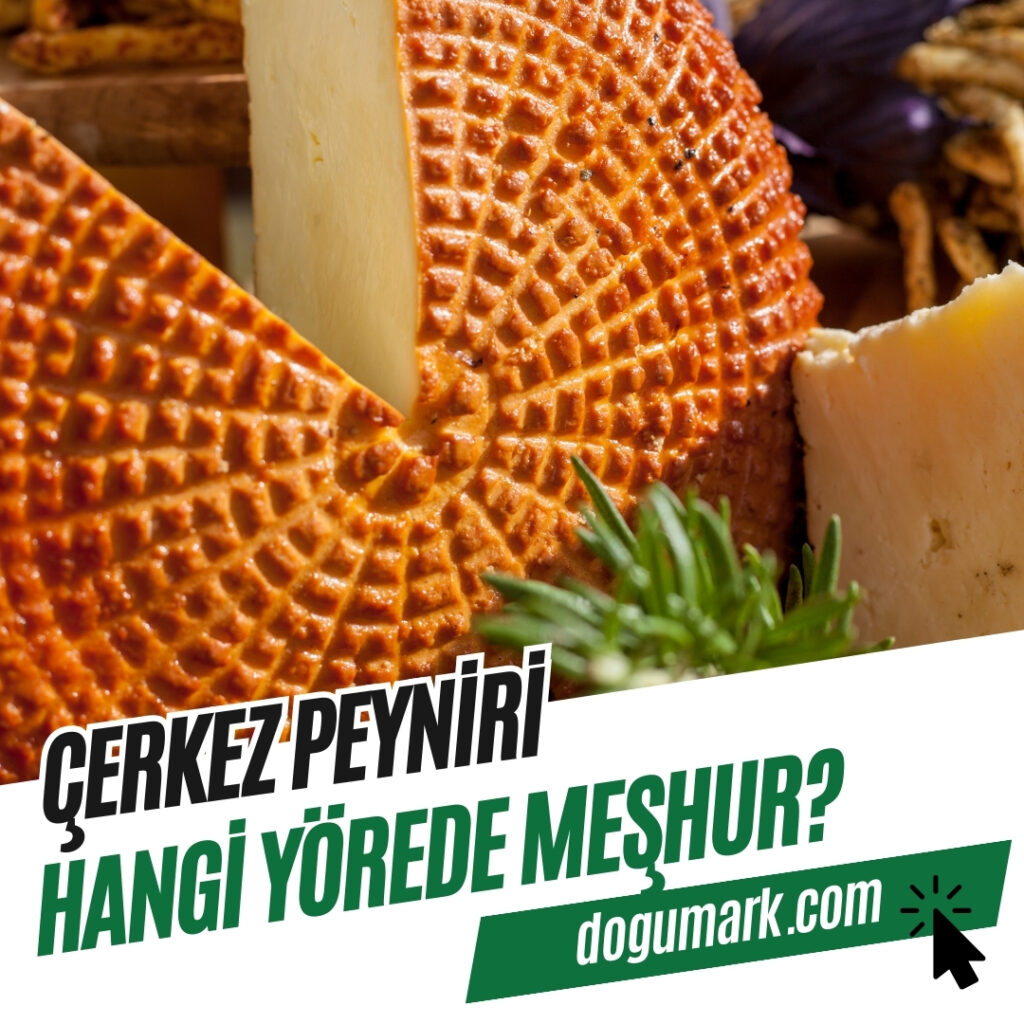 Çerkez Peyniri Hangi Yörede Meşhur