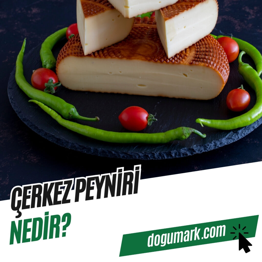 Çerkez Peyniri Nedir