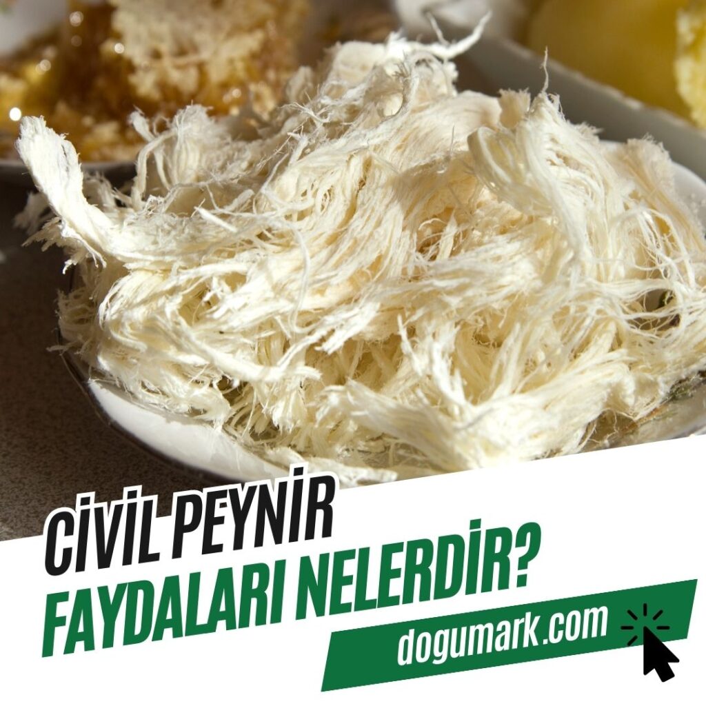 Civil Peynir Faydaları Nelerdir