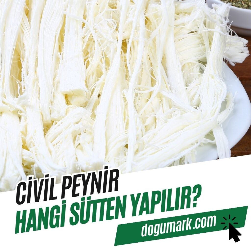 Civil Peynir Hangi Sütten Yapılır