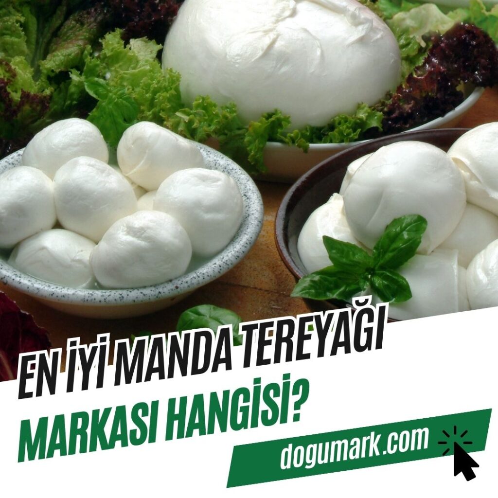En iyi Manda Tereyağı Markası Hangisi