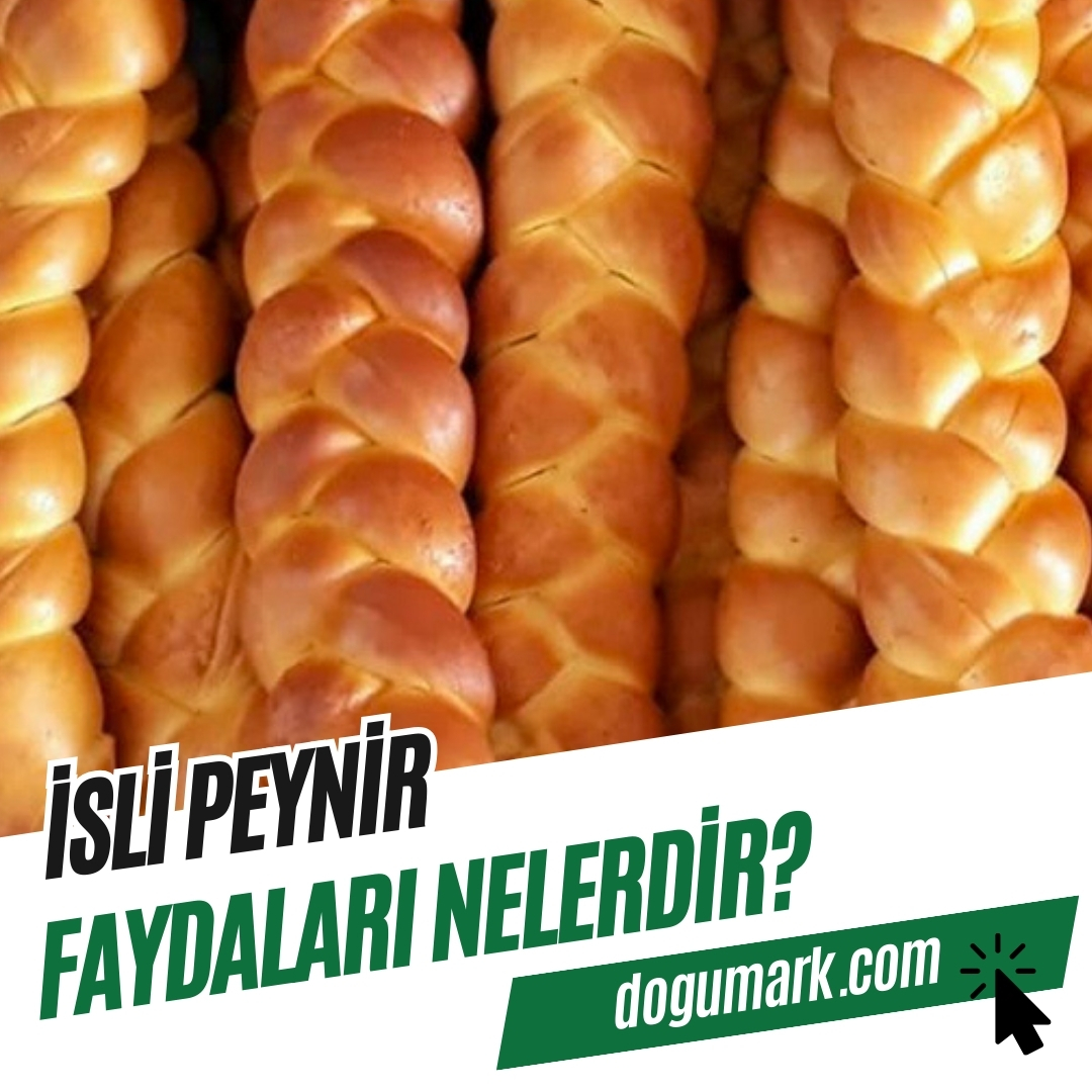 İsli Peynir Faydaları Nelerdir? - DoğuMark