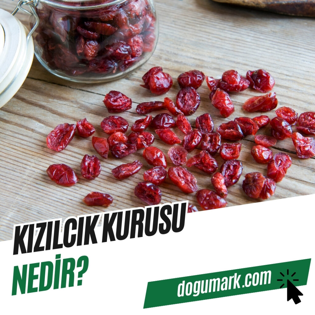 Kızılcık Kurusu Nedir