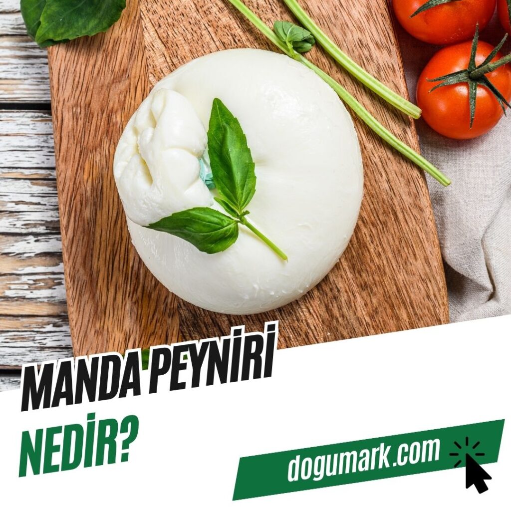 Manda Peyniri Nedir