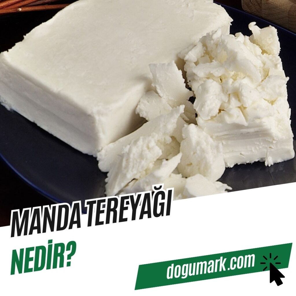 Manda Tereyağı Nedir