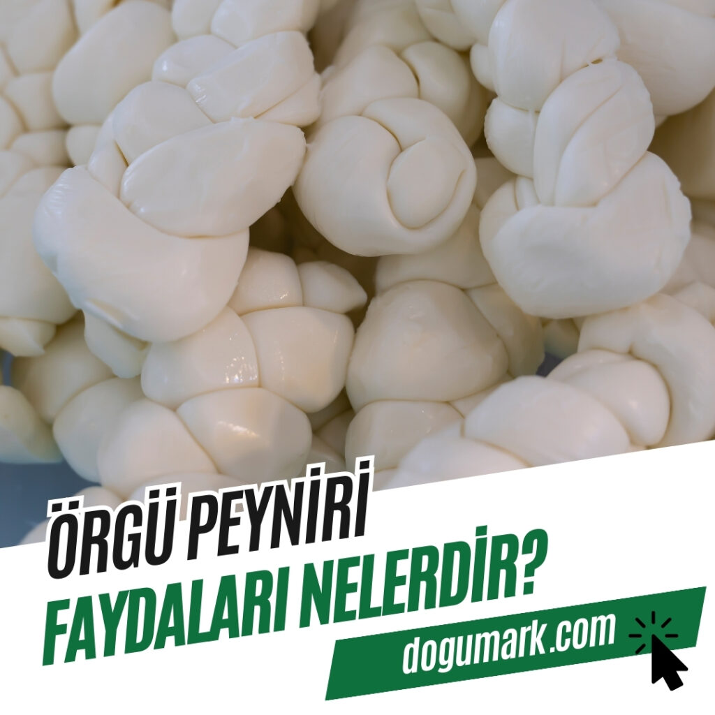 Örgü Peyniri Faydaları Nelerdir