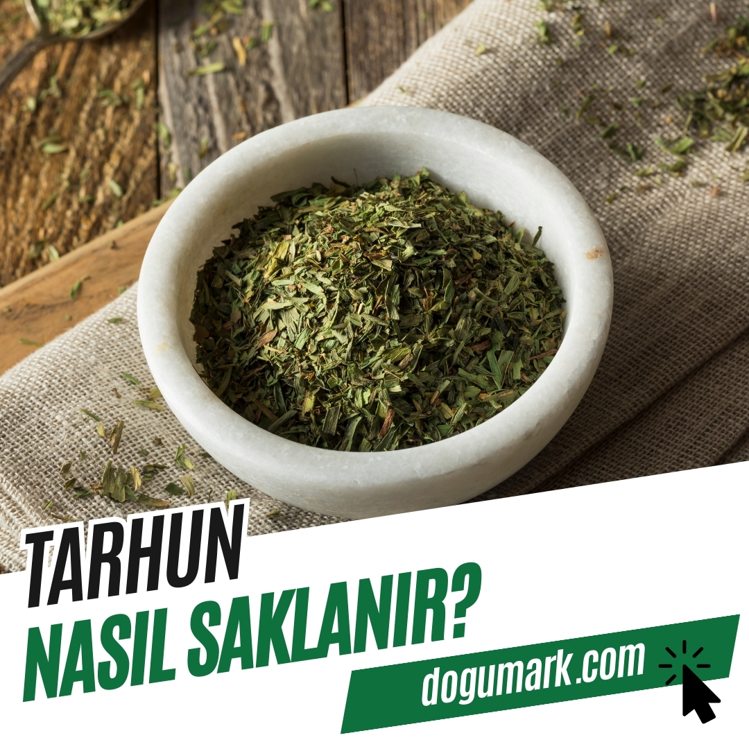 Tarhun Nasıl Saklanır? - DoğuMark