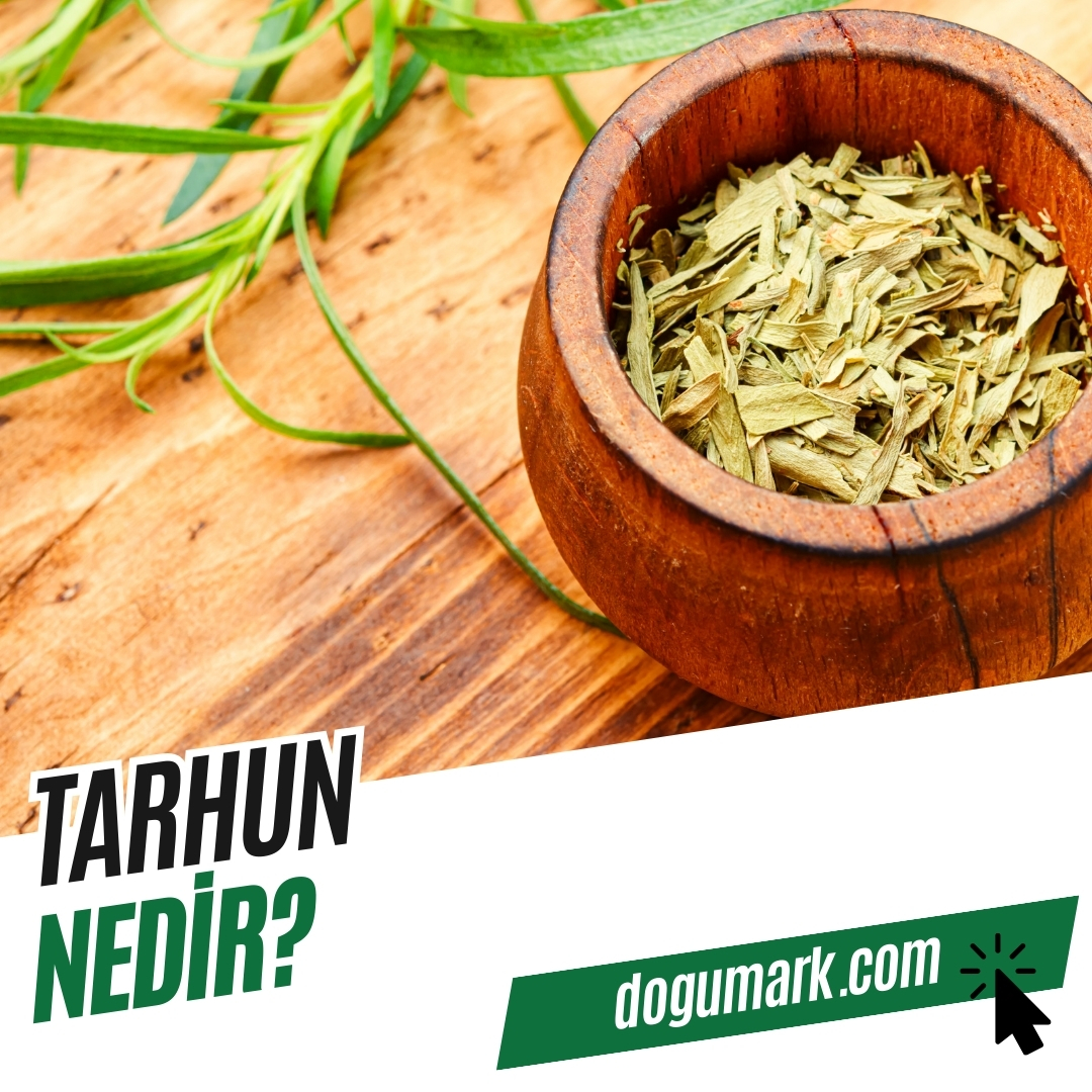 Tarhun Nedir? - DoğuMark