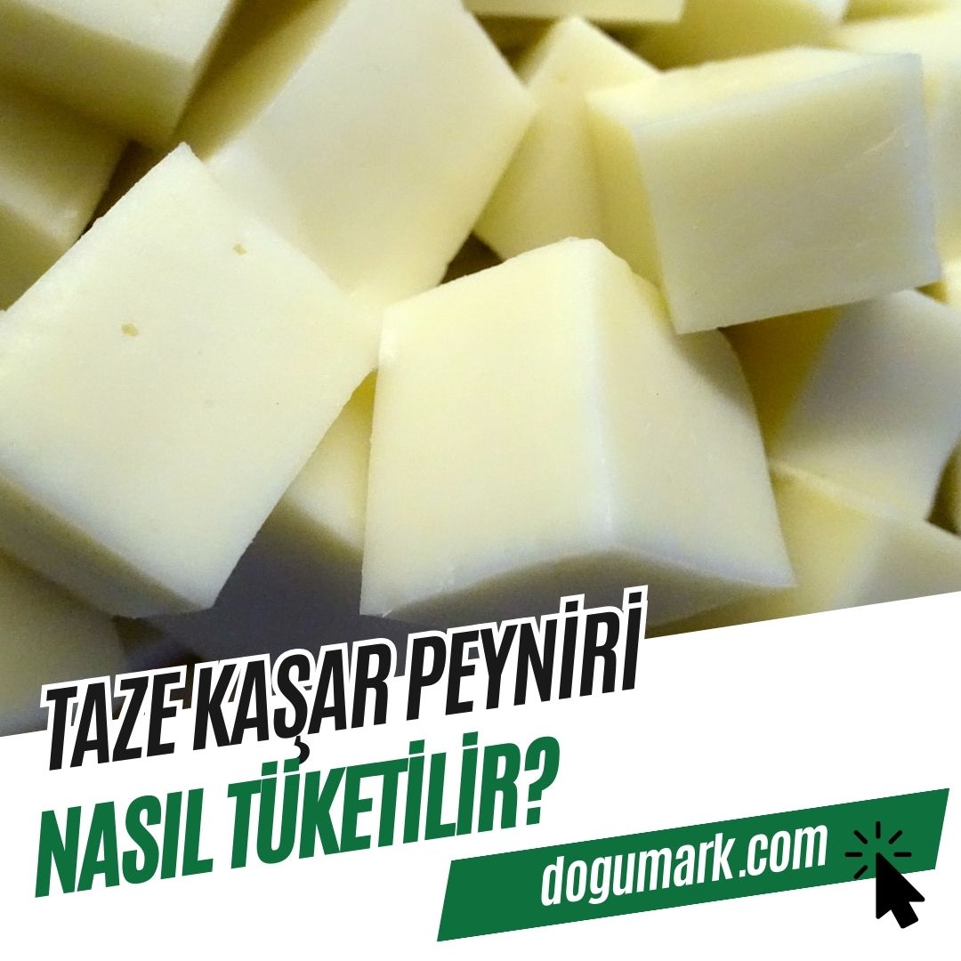 Taze Kaşar Peyniri Nasıl Tüketilir? - DoğuMark