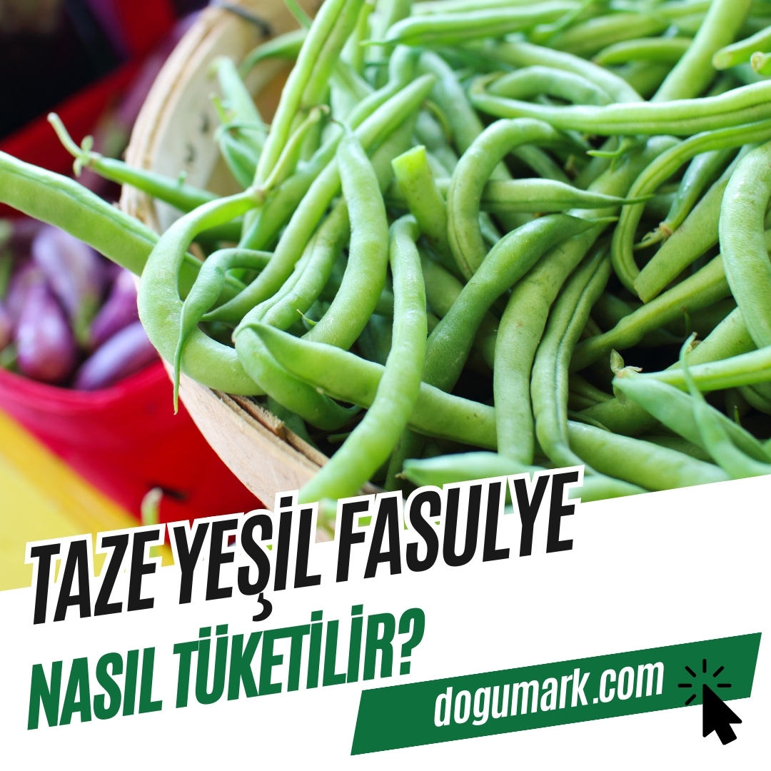 Taze Yeşil Fasulye Nasıl Tüketilir? - DoğuMark