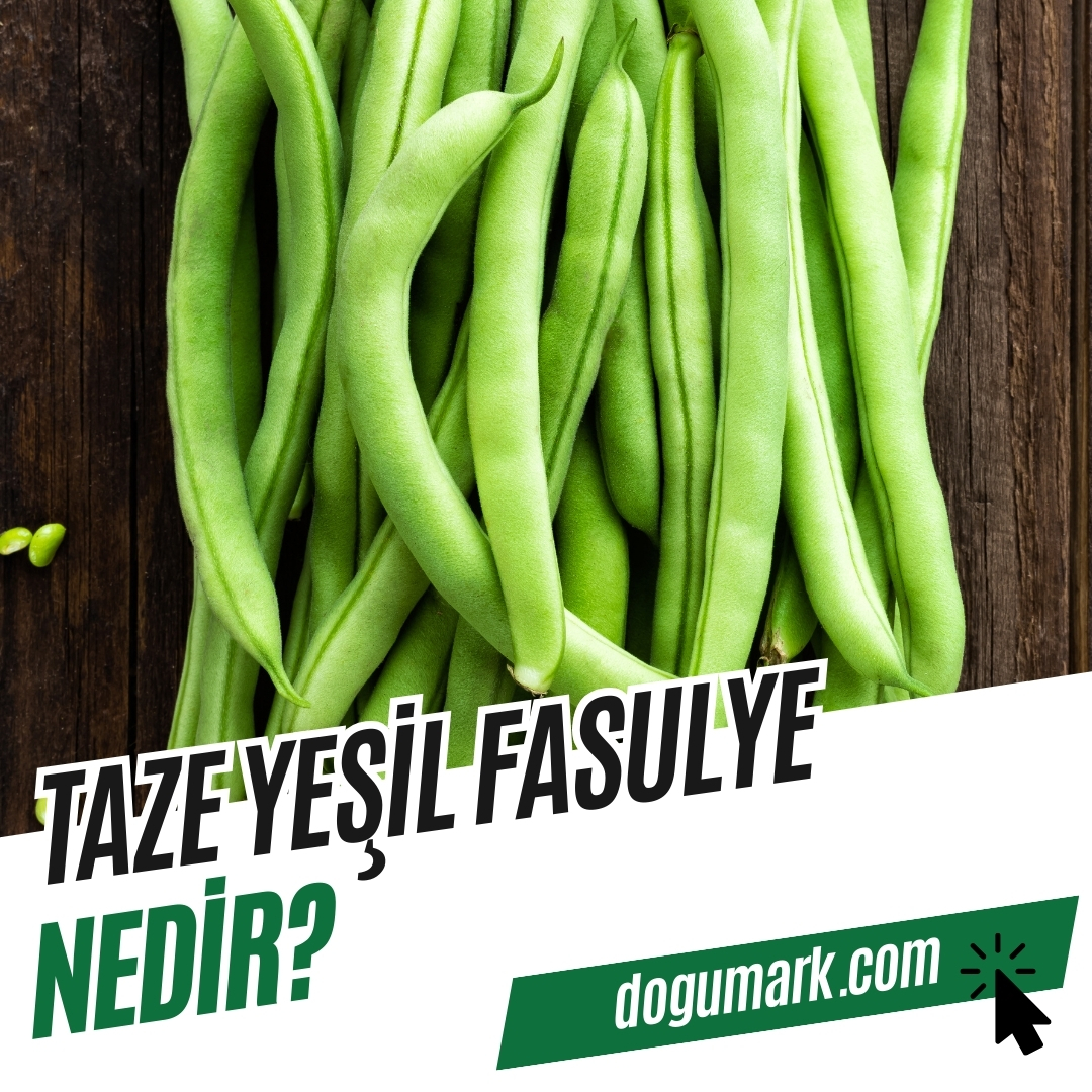 Taze Yeşil Fasulye Nedir? - DoğuMark