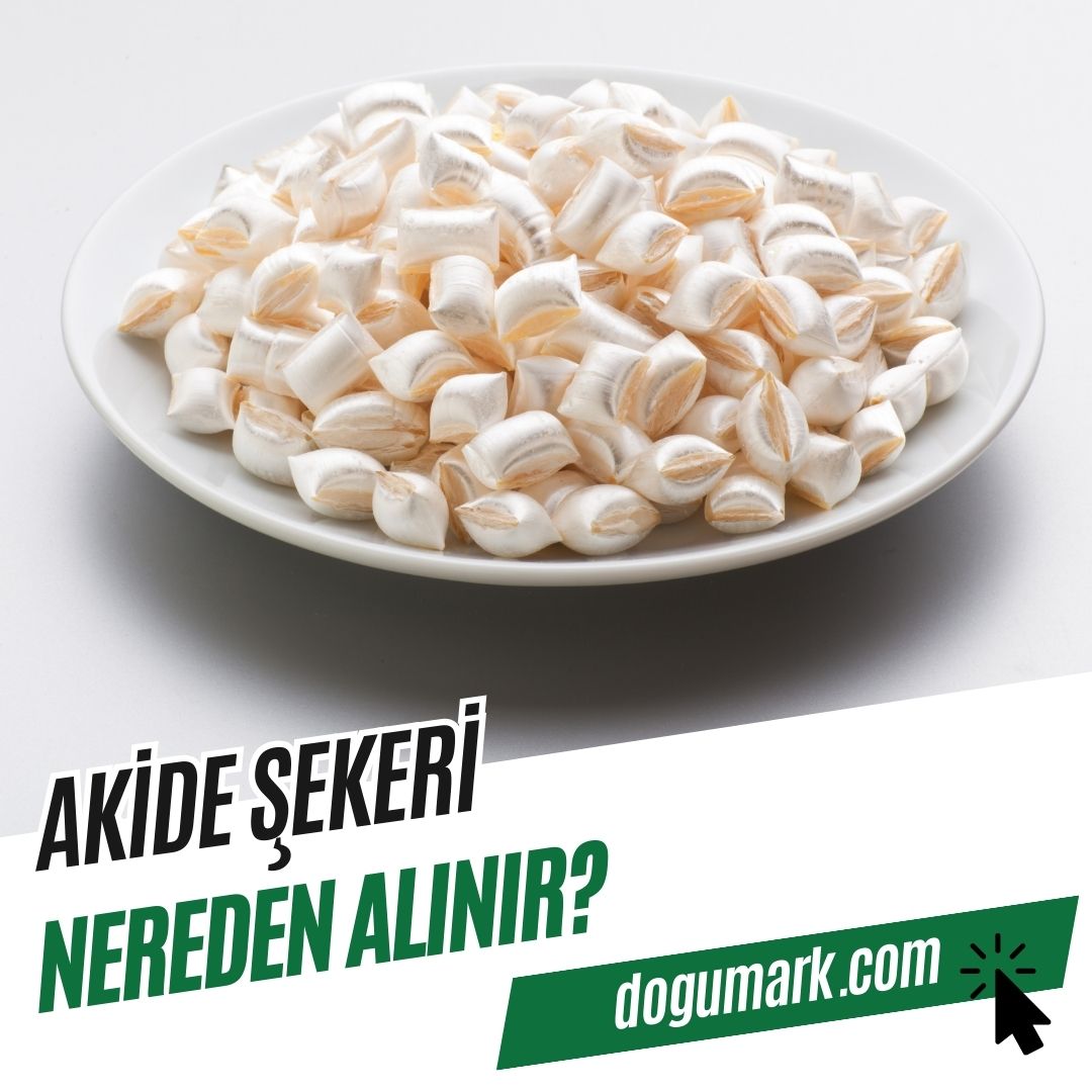Akide Şekeri Nereden Alınır? - DoğuMark