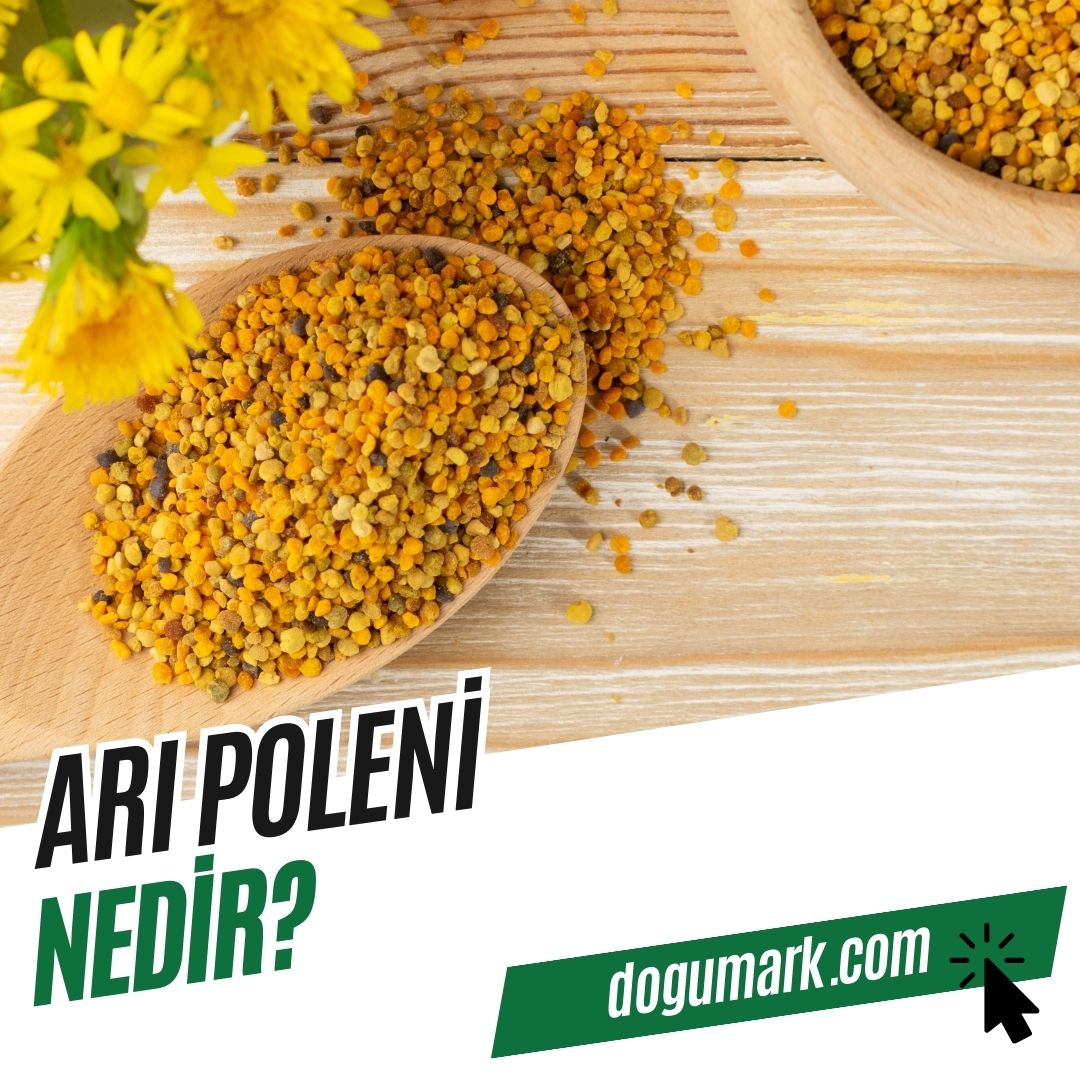 Arı Poleni Nedir? - DoğuMark