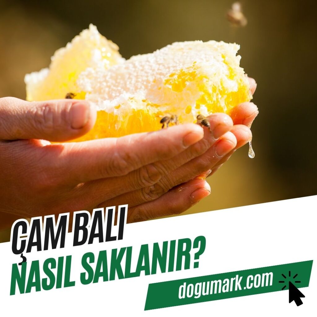 Çam Balı Nasıl Saklanır