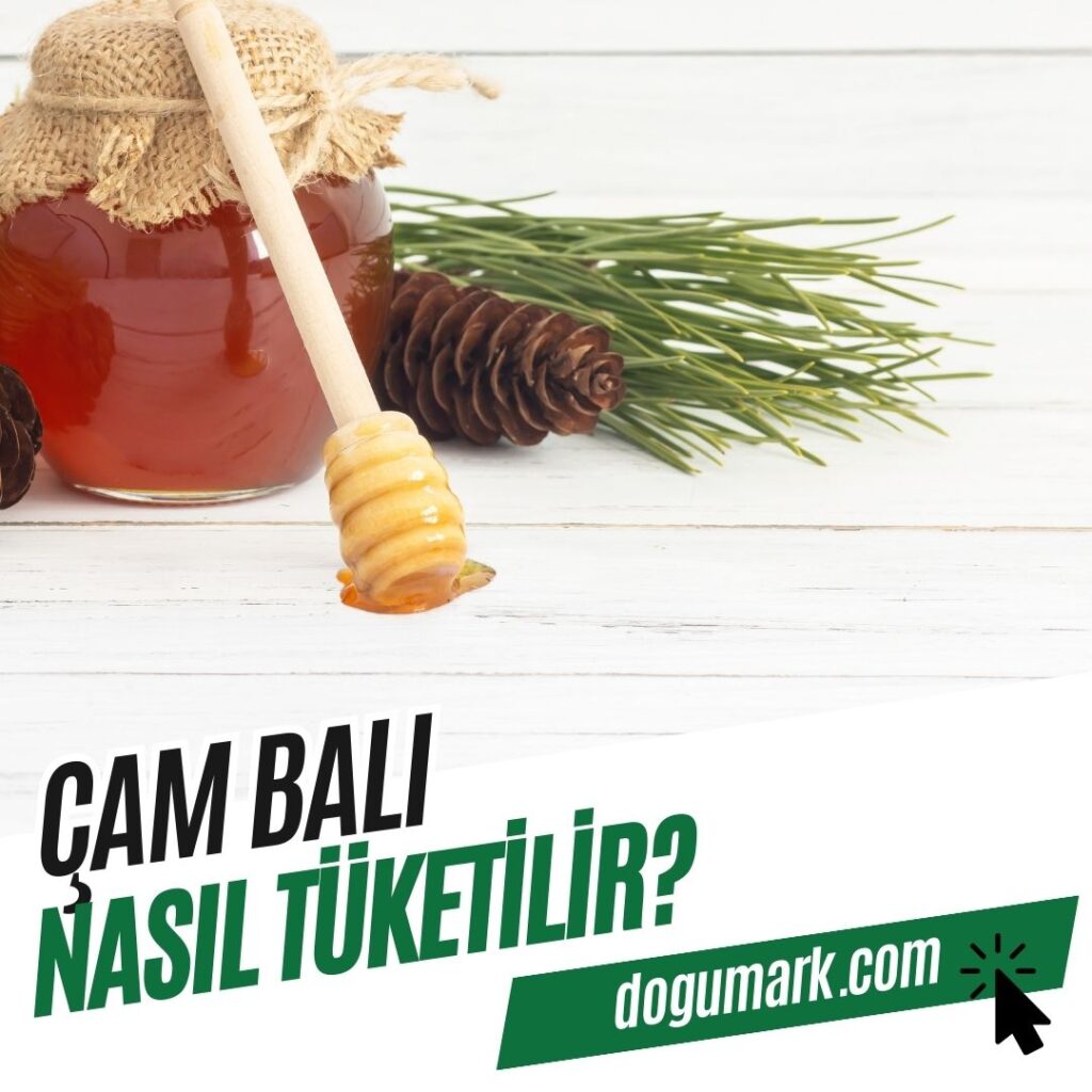 Çam Balı Nasıl Tüketilir