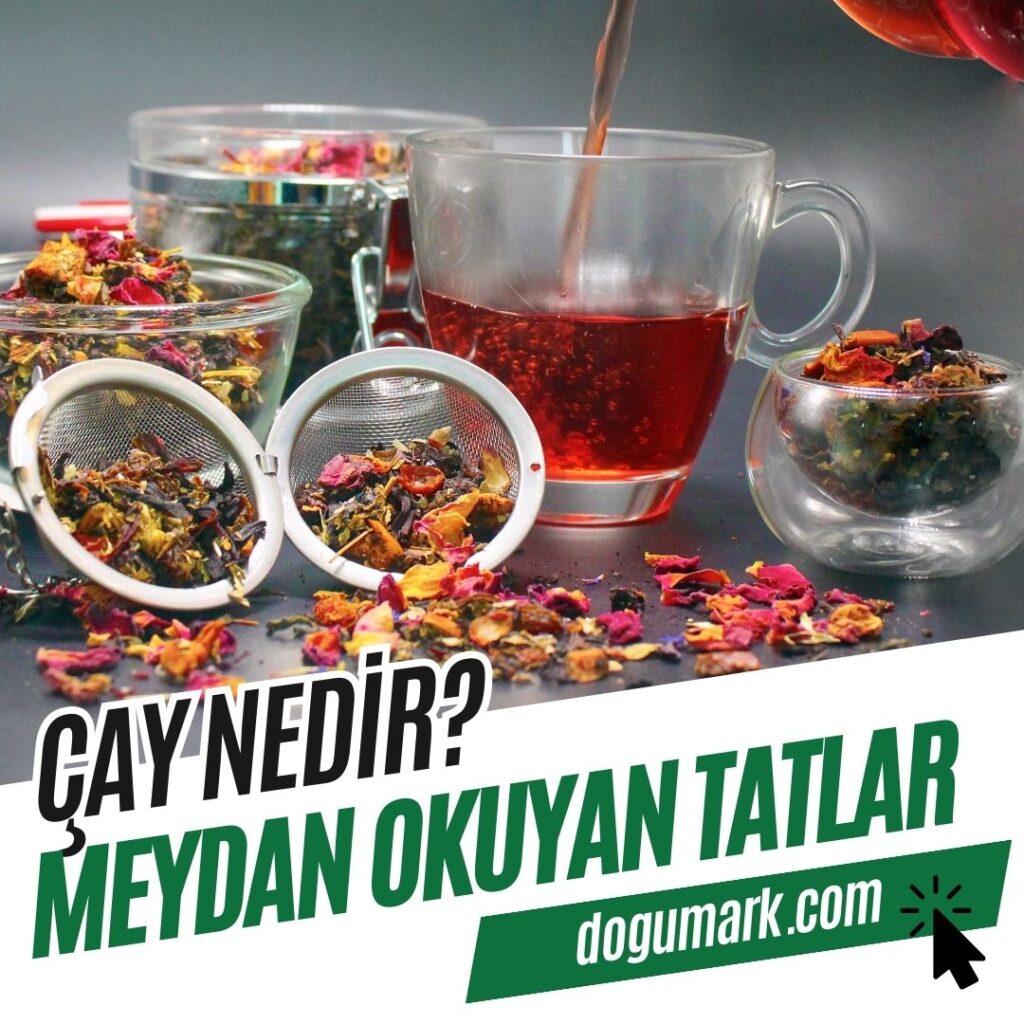 Çay Nedir