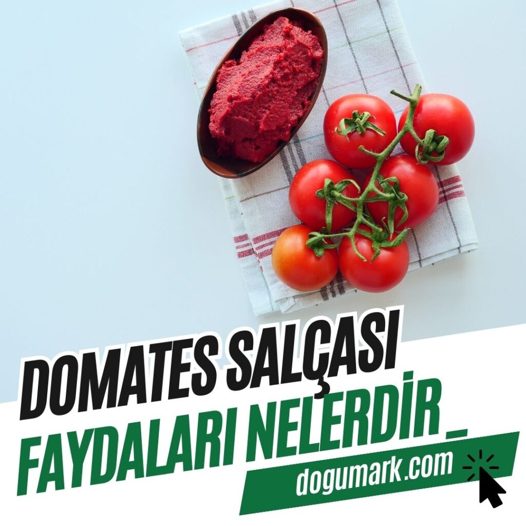 Domates Salçası Faydaları Nelerdir