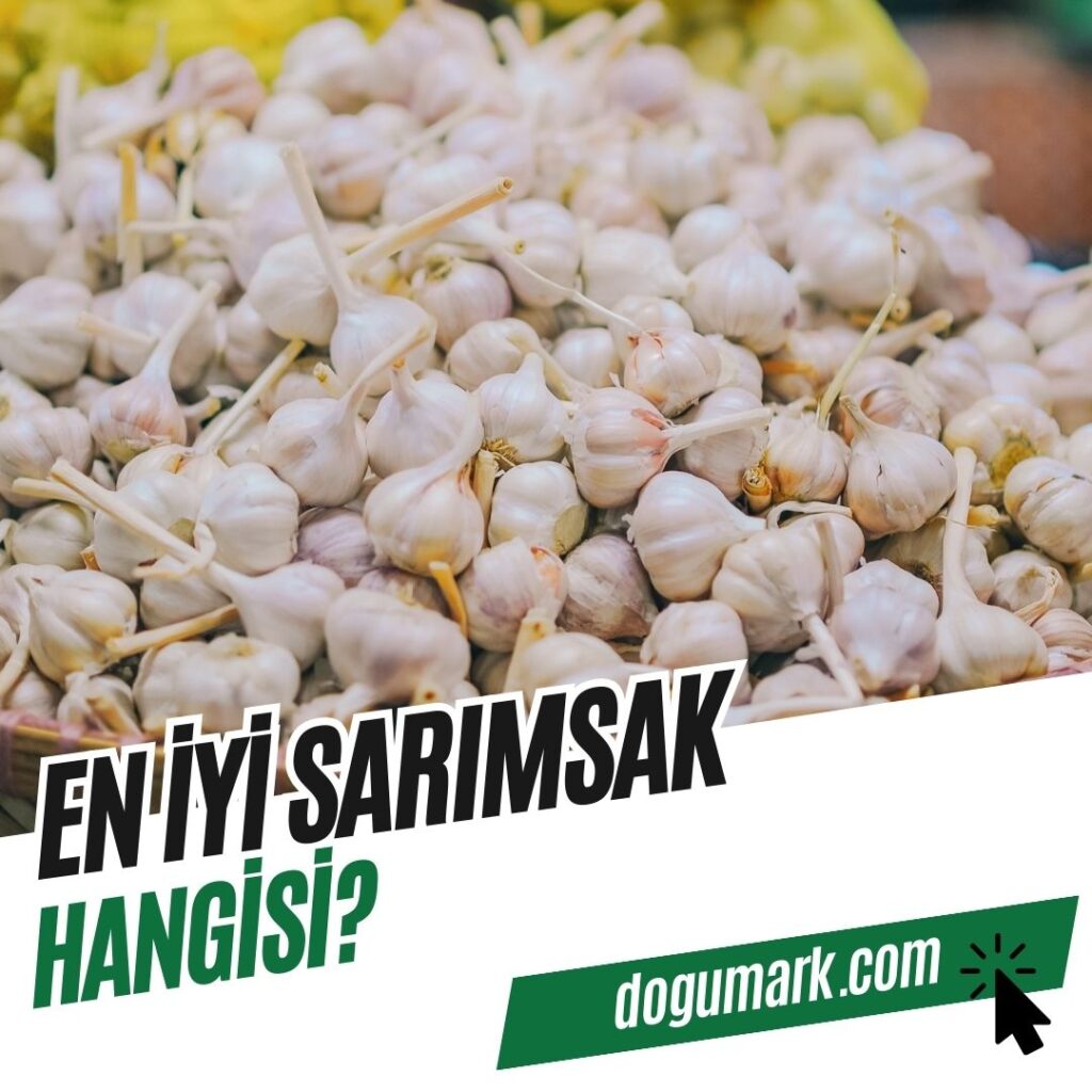 En İyi Sarımsak Hangisi