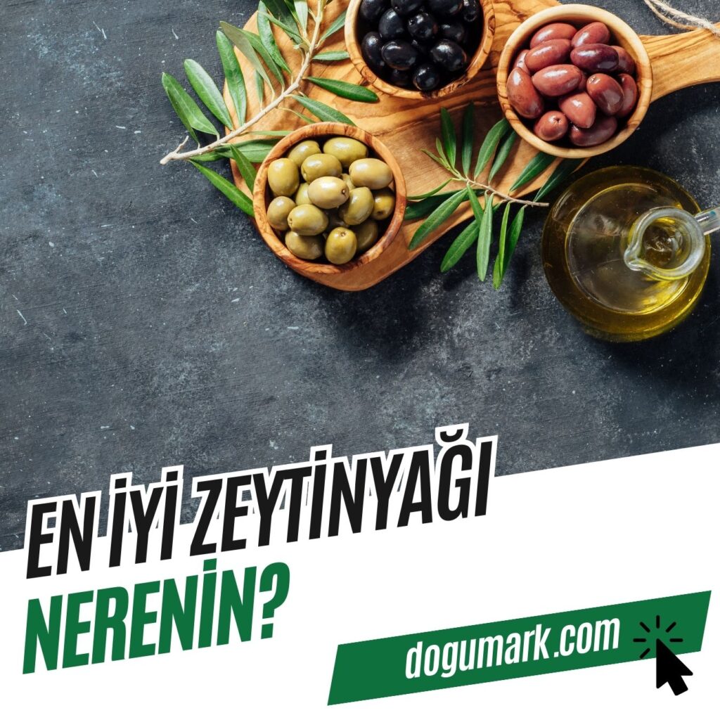 En iyi Zeytinyağı Nerenin