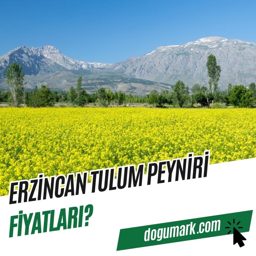 Erzincan Tulum Peyniri Fiyatları