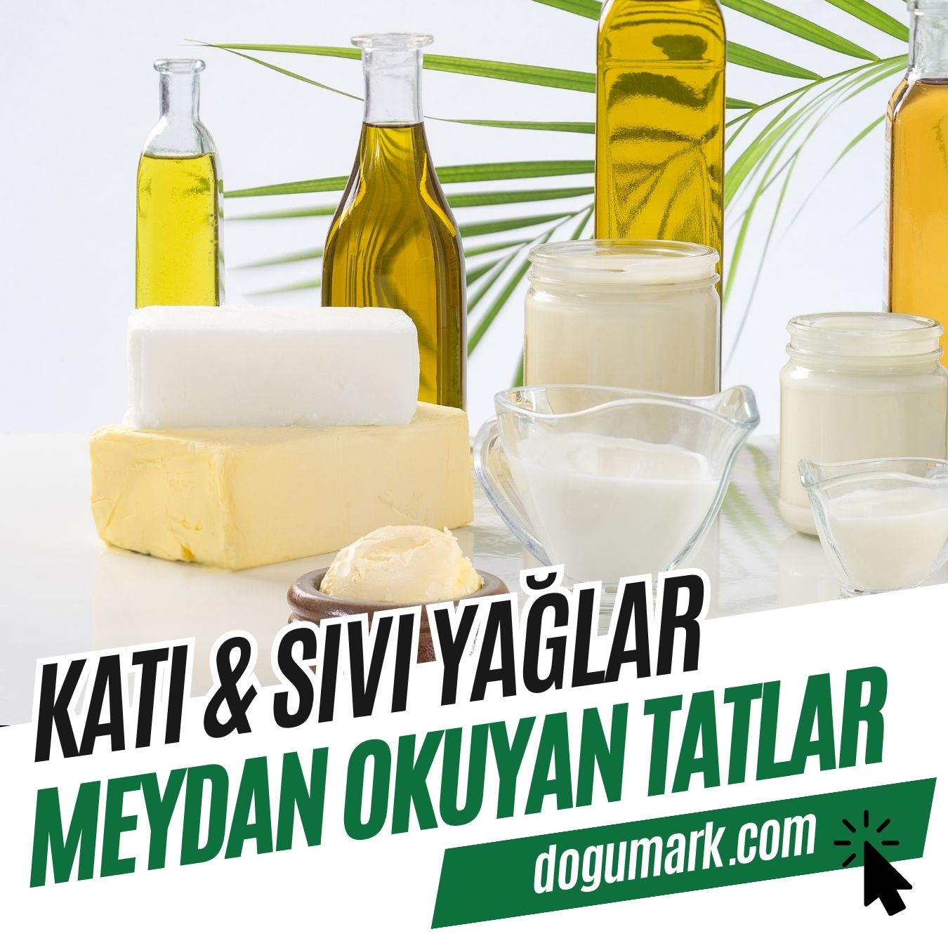 Katı & Sıvı Yağlar